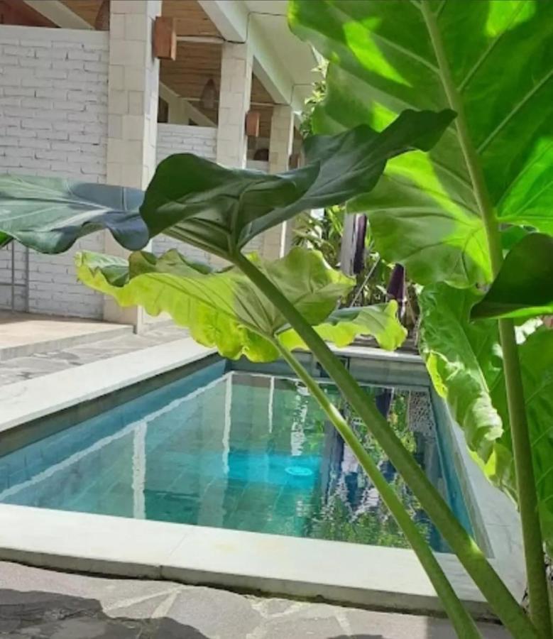 Surya Lombok Accommodation Селонг-Беланак Экстерьер фото