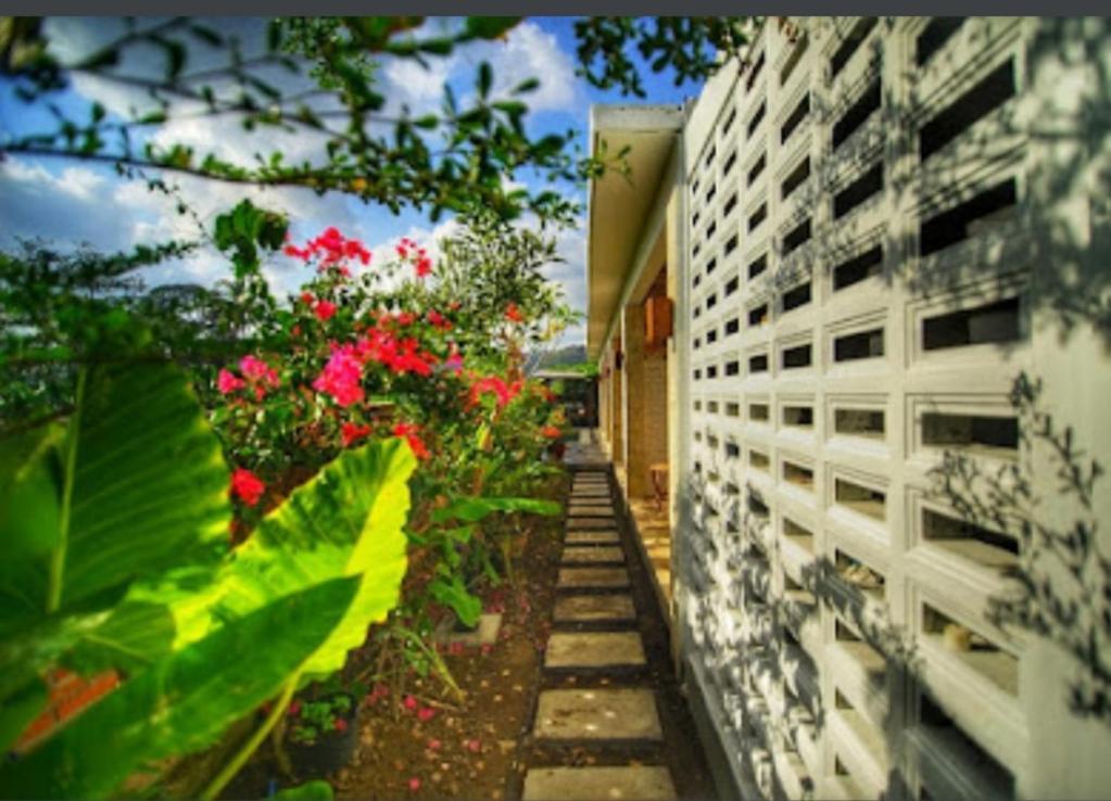 Surya Lombok Accommodation Селонг-Беланак Экстерьер фото